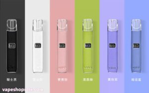 VAKA 皮革主機